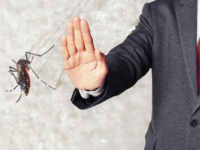 About Termite Inspection The Lakes - termite inspection experts in The Lakes
